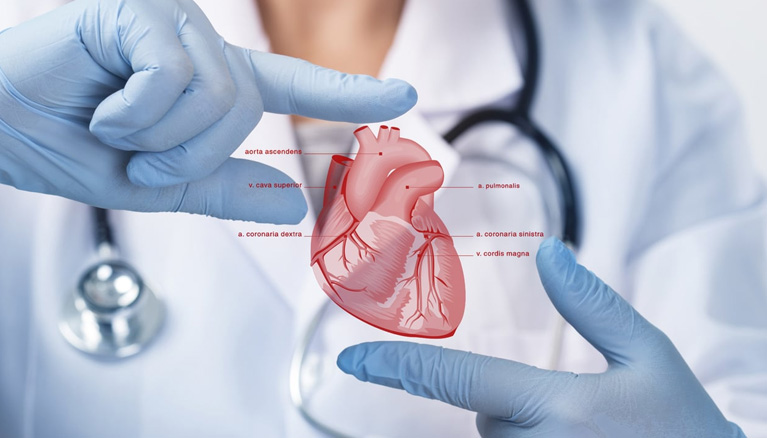 Cardiology