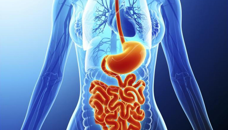 Gastroenterology