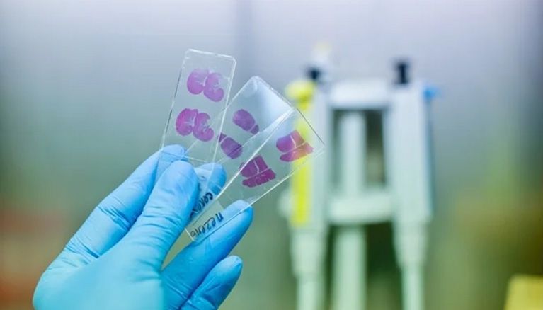 Histopathology