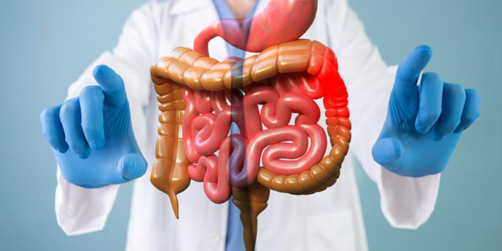 Gastroenterology Department Banner